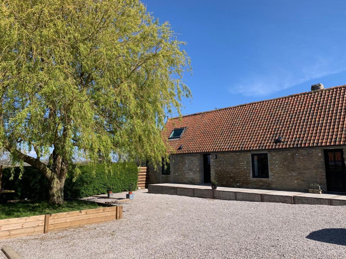 Les Gites Du Grand Saule Tardinghen Exterior photo